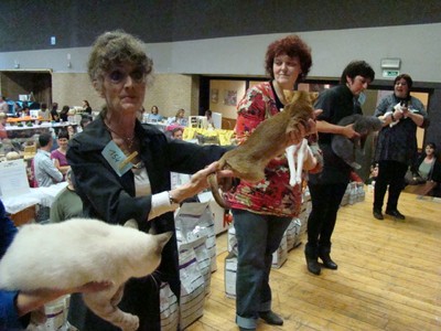 20121021_225 (Expo)